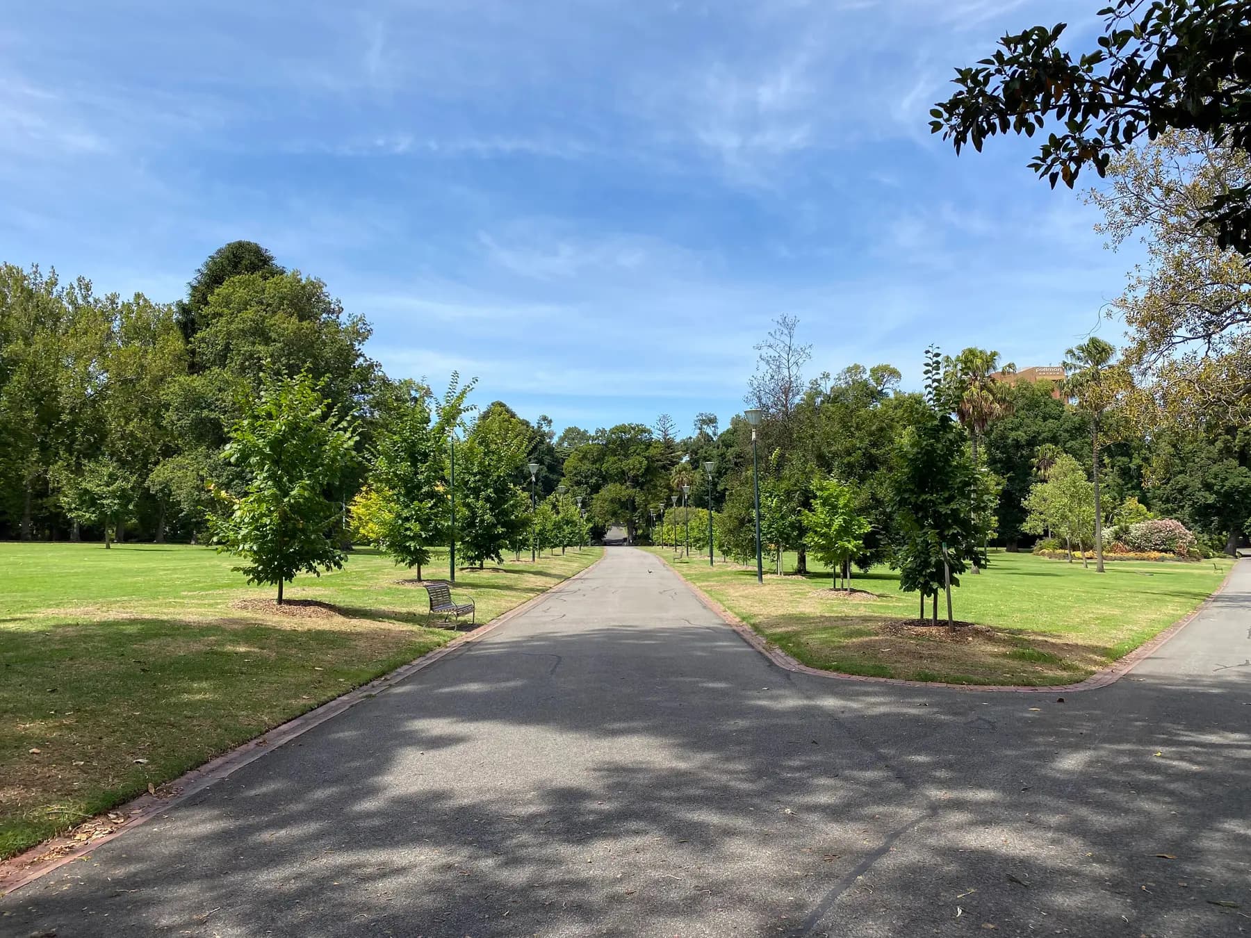 Tree canopy and paths in Fitzroy Gardens, east of Melbourne’s CBD